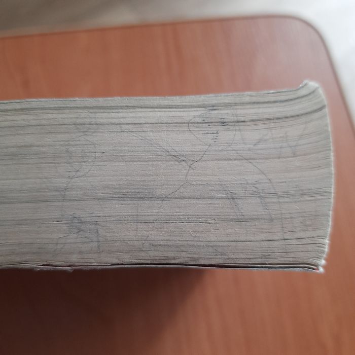 The Midnight Gang by David Williams книга на англійський