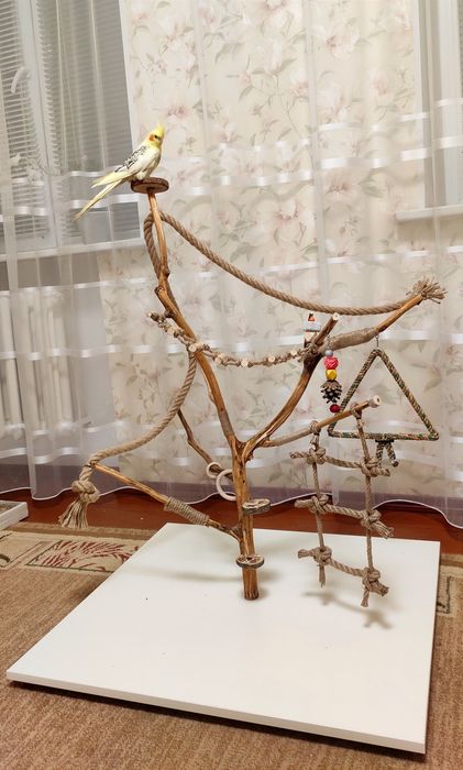 Стенд присада для папуг