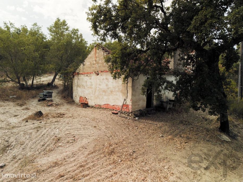 Quinta Florestal de 12,5 Hectares com Casa de Lavrador Centenária em B