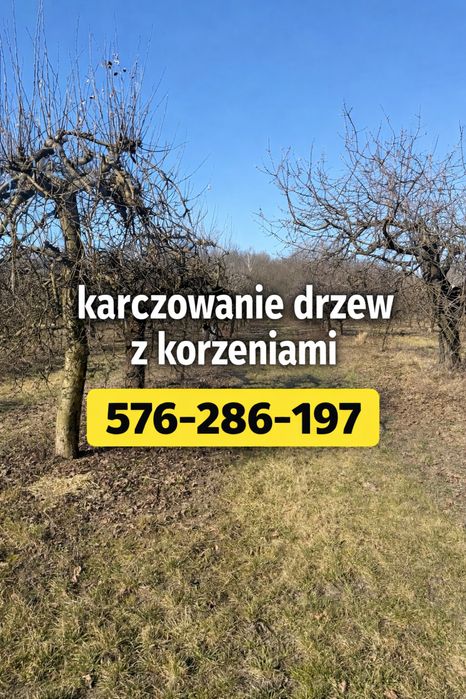 Czysta działka odbiór całej biomasy .