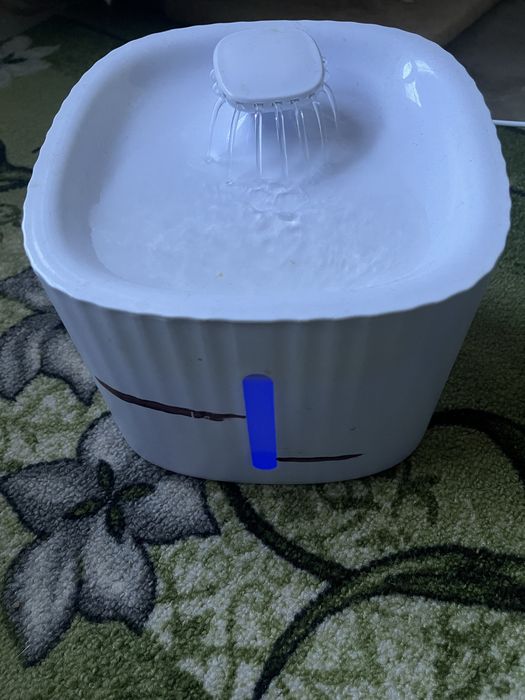 Фонтан поїлка для тварин