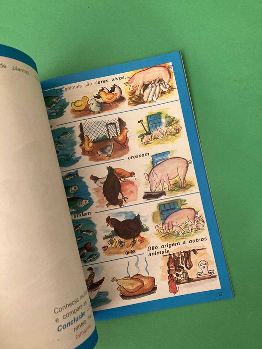 Livro Escola Primária Á nossa Volta Meio Físico e Social 1º Classe Anos 80 Porto Editora
