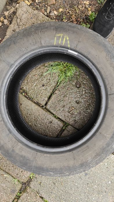 Резина літо 195 65 R15