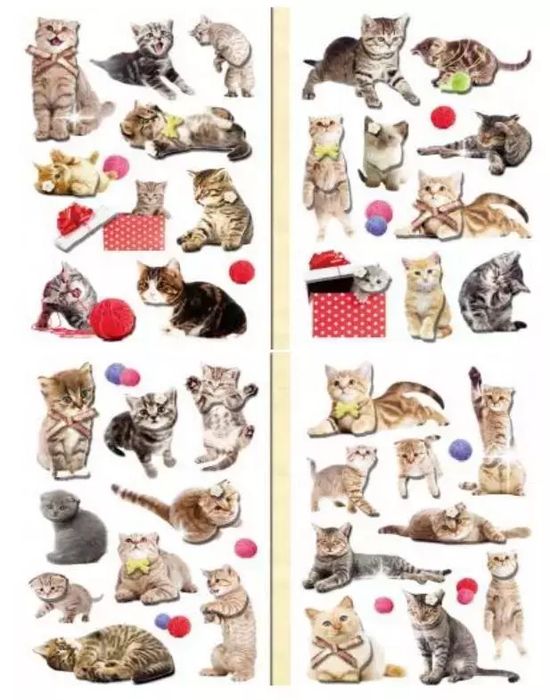 Naklejki 3D koty MIX. Nowy Produkt