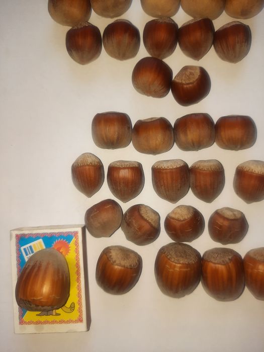 Саджанці фундука, сорт Футкурамі