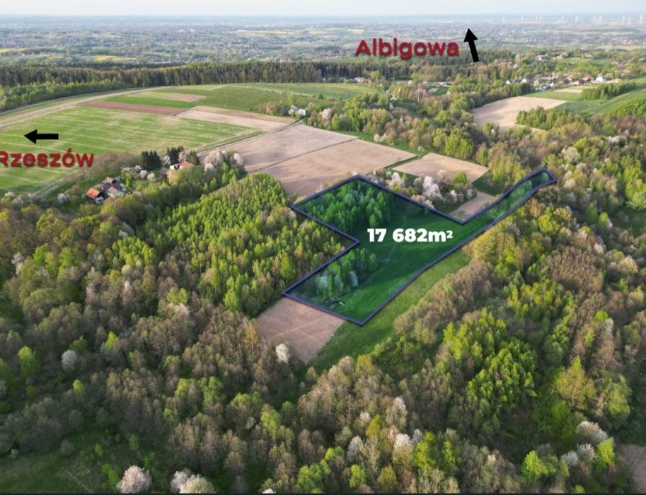 2.6 Ha duża działka 5 działek media sad siedlisko Wola Rafalowska