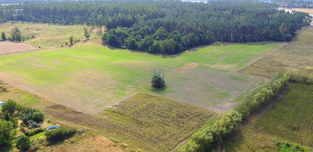 1500 m² Osówiec – Działki z WZ | BLISKO BYDGOSZCZY - Widok 4