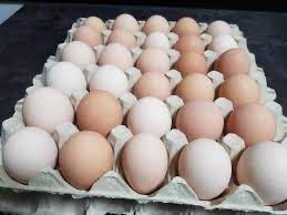 Swojskie jajka z domowej hodowli