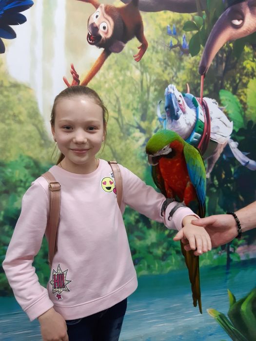 Свитшот / толстовка / свитер для девочки на 7-8 лет
