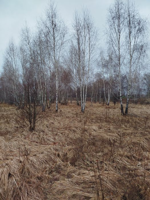 Нові Петрівці 6 соток під будівництво