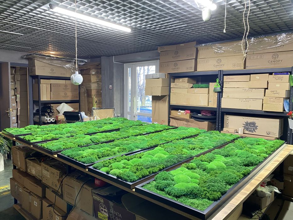 Фитопано з Моху. Панелі з Моху