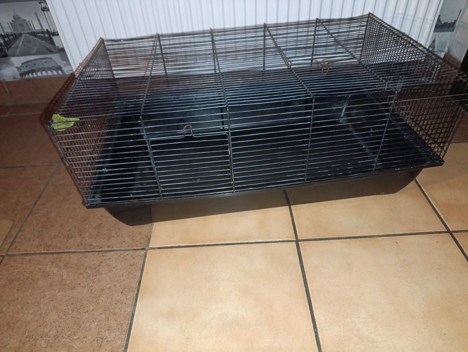 Klatka dla chomika lub świnki morskiej