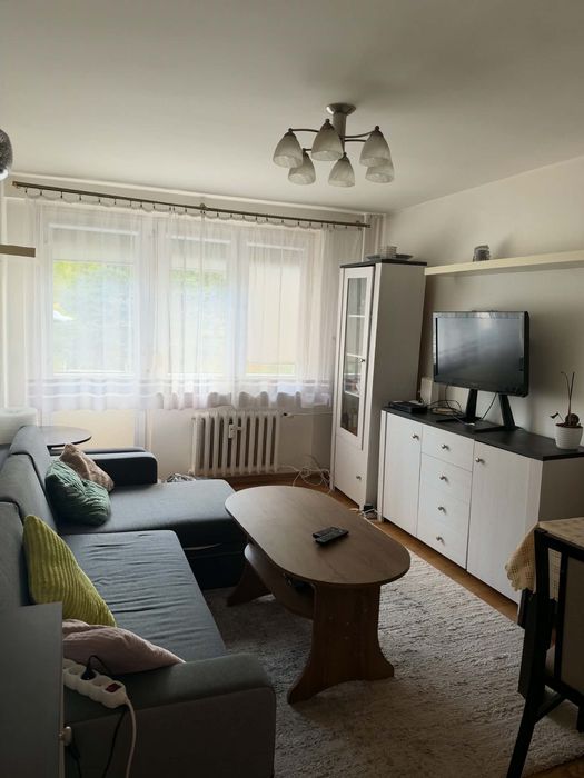 wynajem mieszkania Oliwa AFW 38m 2 pokoje parter