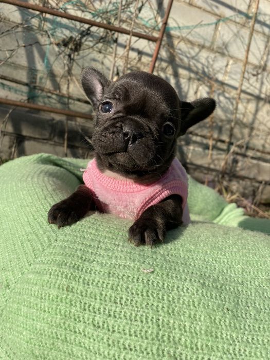 Мальчики и девочки )