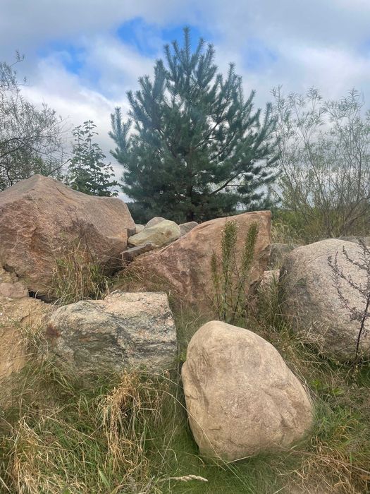 głazy narzutowe - kamień naturalny