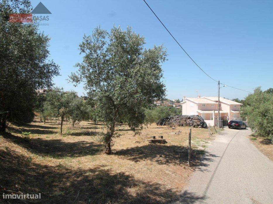 Terreno com viabilidade de construção — Luso, Aveiro
