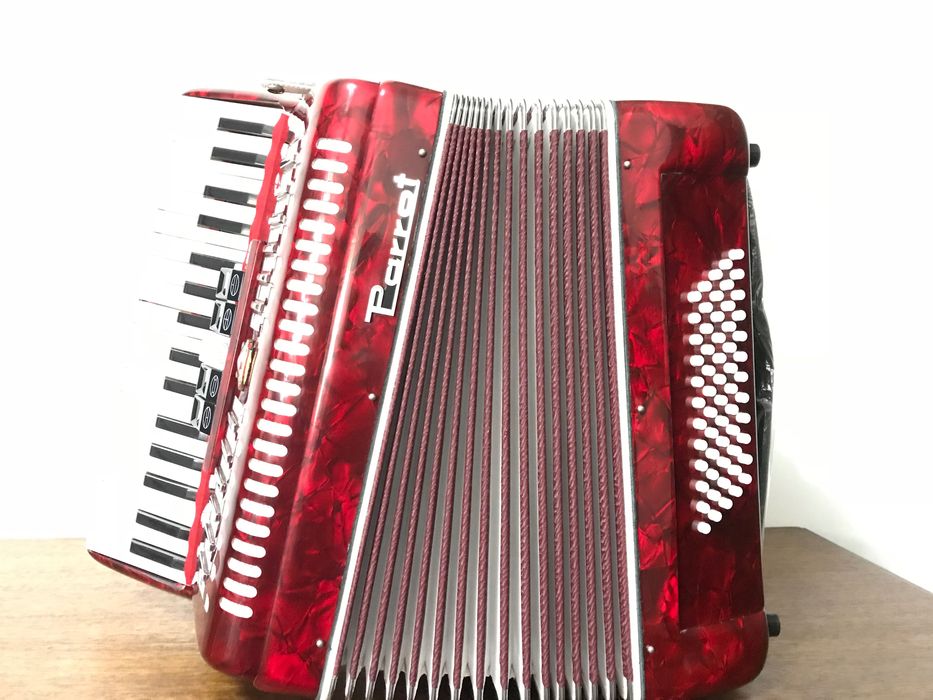 Acordeão Parrot com caixa - novo
