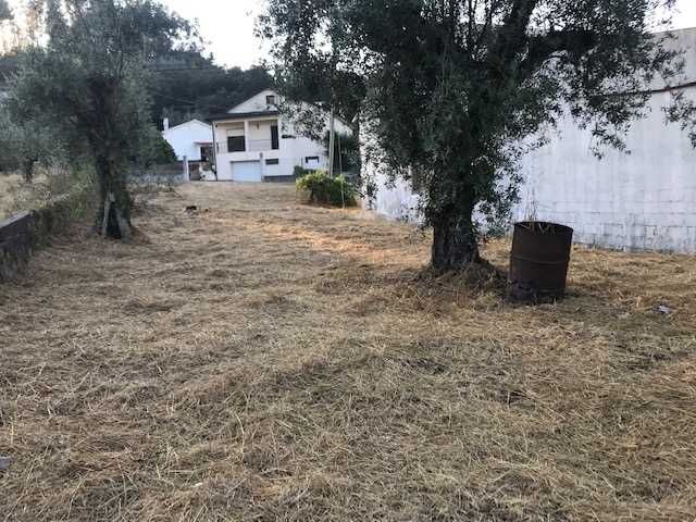 Armazém /Oficina com terreno