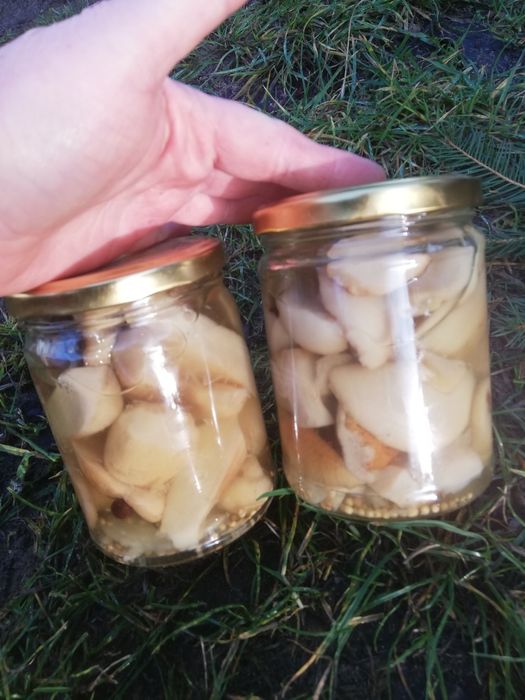 Prawdziwki marynowane, borowiki 12 razy 500 ml