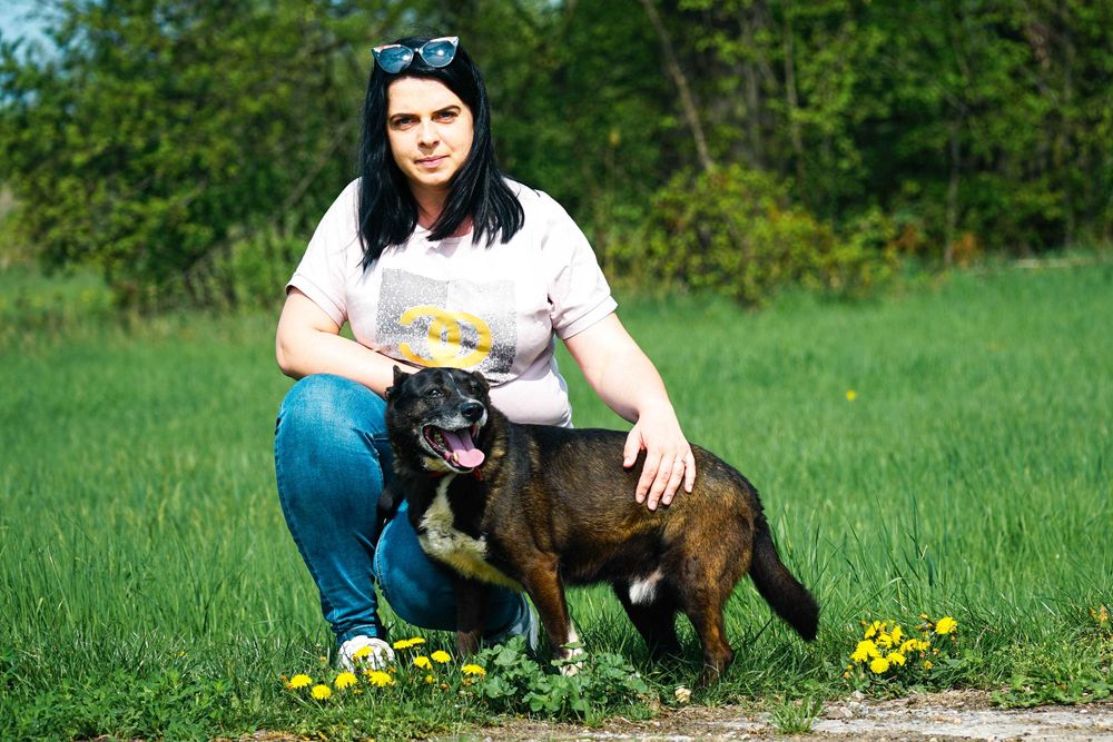GRATIS - super fajny psiak szuka domu