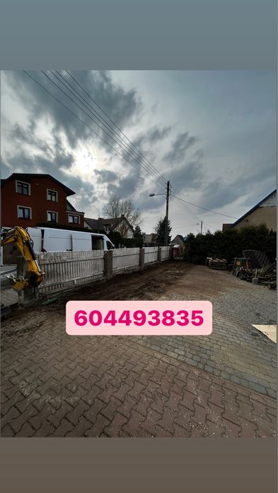 Tania wycinka drzew przycinanie frezowanie korzeni Wertykulacja wywóz