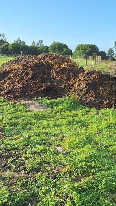 Estrume em BENAVENTE