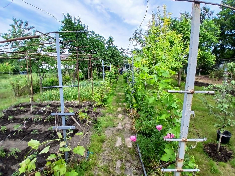 Продам дачу левобережный-3