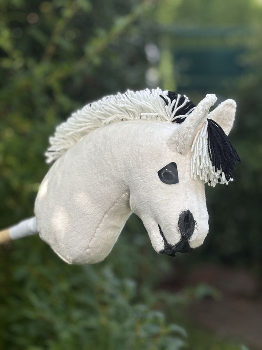 Hobby horse fiord