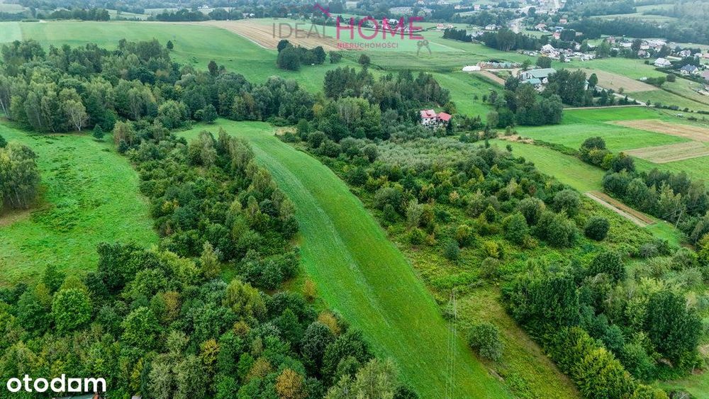 Nowy Borek 1,3675 ha- w trakcie Wz zagrodowa