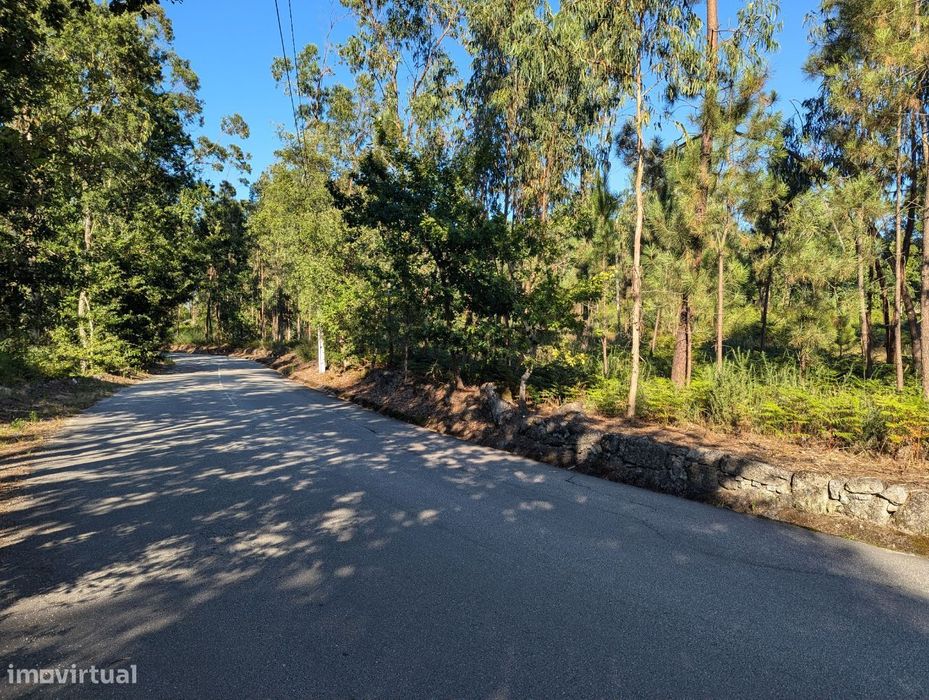 Terreno com 8400m2 junto à estrada principal de Verim