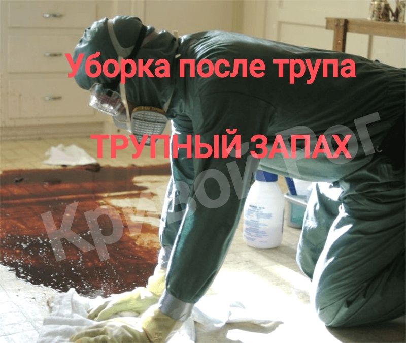 ‼️ ТРУПНЫЙ ЗАПАХ Дезинфекция Уборка после ТРУПА СМЕРТИ Озонирование