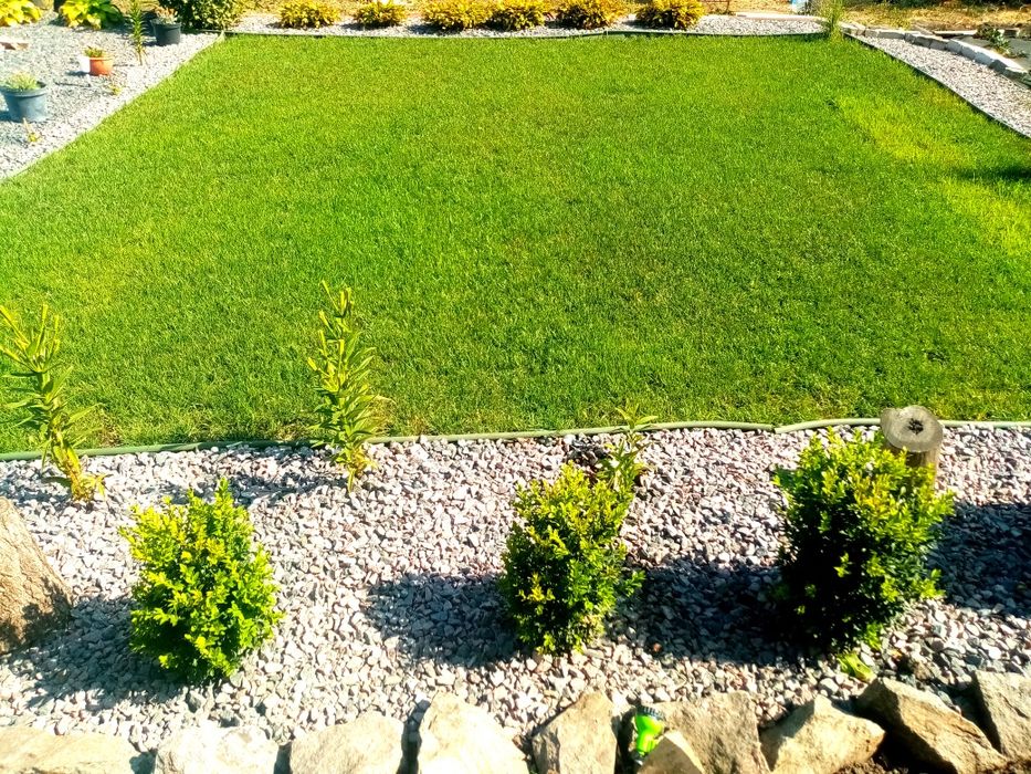 САДОВНИК ;Уход за садом, стрижка, уборка...