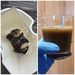 Wynajem odkurzacza piorącego. Pranie tapicerek ,mebli itp.