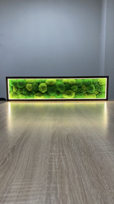 Панно з моху, картина з мохом та підсвіткою, кочковий мох