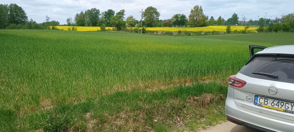 Sprzedam działkę rolną z możliwością uzyskania warunków zabudowy