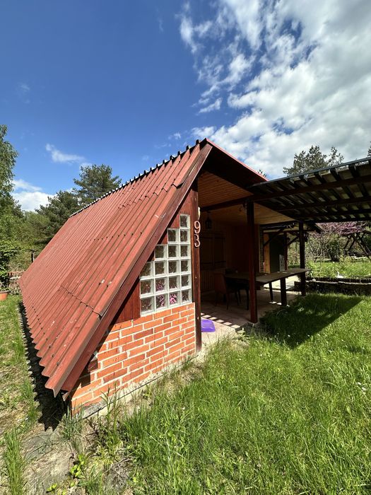 Działka ROD Kielce - Zielona Dolina Masłów 782 m² - Widok 4