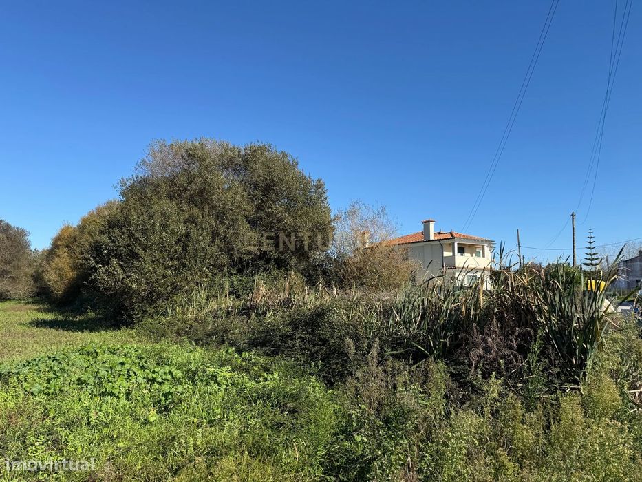 Terreno Rústico em Ílhavo com Viabilidade de Construção