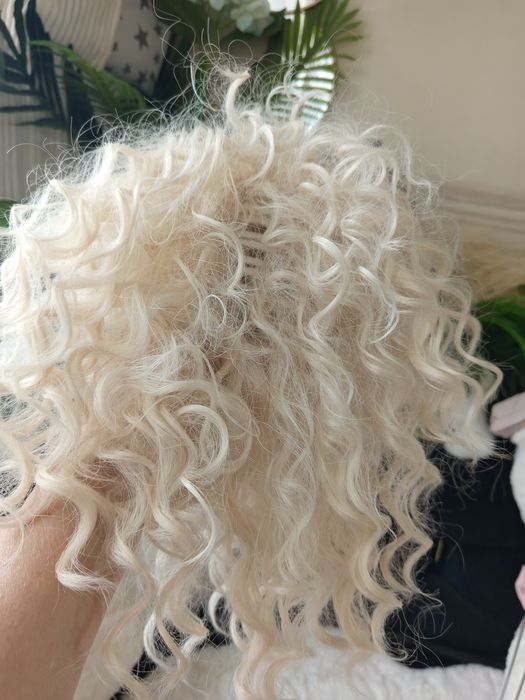 Nowy krab z grzywką afro jasny blond