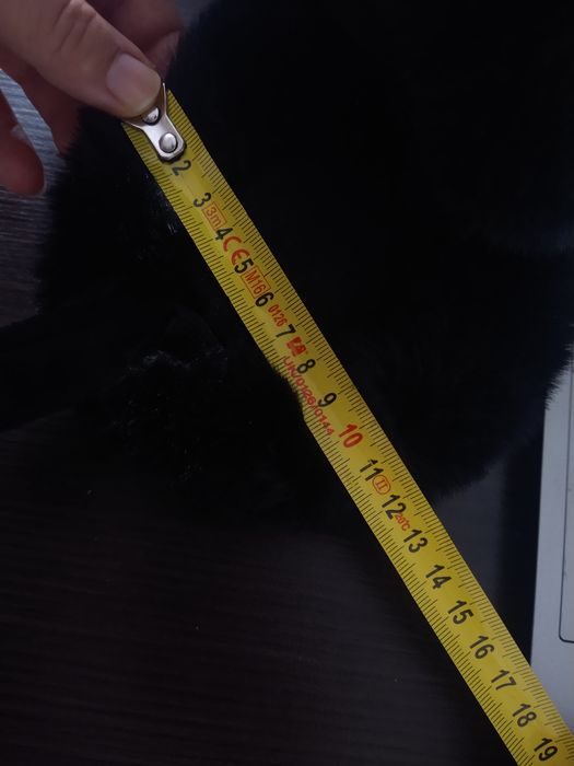 czarne nauszniki zimowe nietoperz halloween