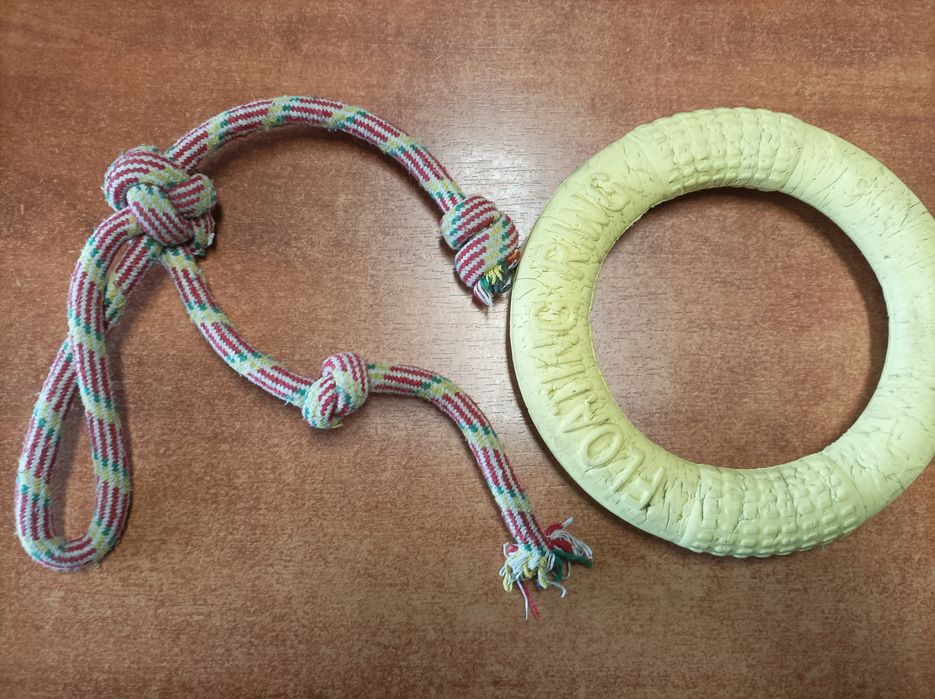 Oddam trzy zabawki dla psa