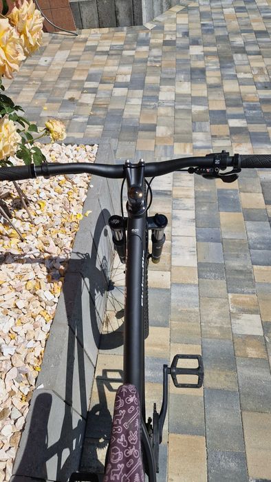 Dirt Checker Pig Flying Pig 26"