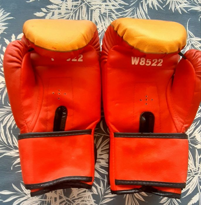 Luvas Boxe (bom estado)
