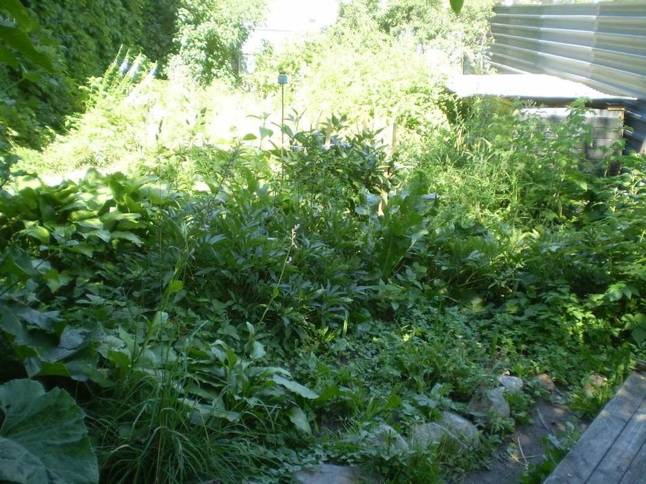 Житлове приміщення під пекарню дім літніх садок школу пансіон клініку