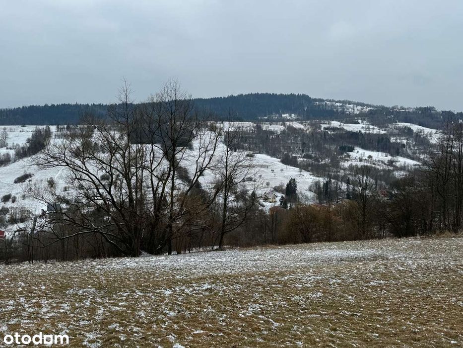 Piękna widokowa działka wysoko w górach idealna na rekreację!