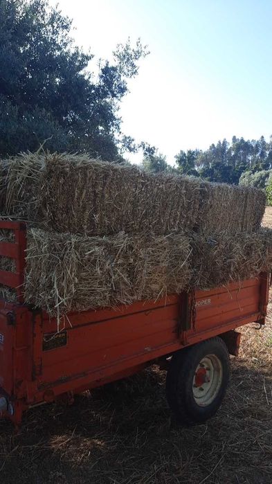 Vende-se Feno            .