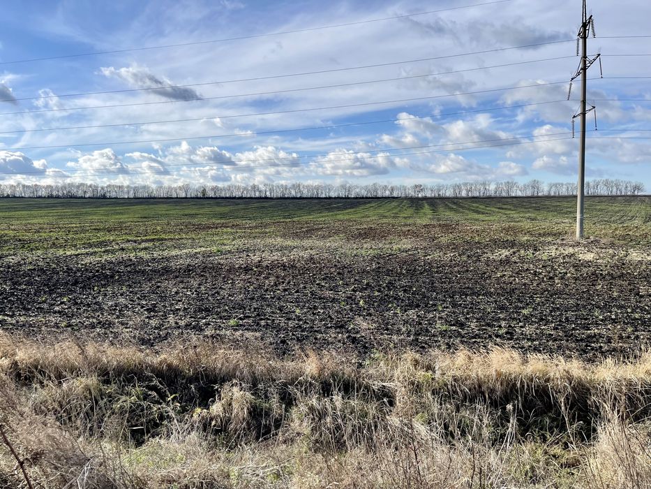 Продам ділянку землі 0.31 га.