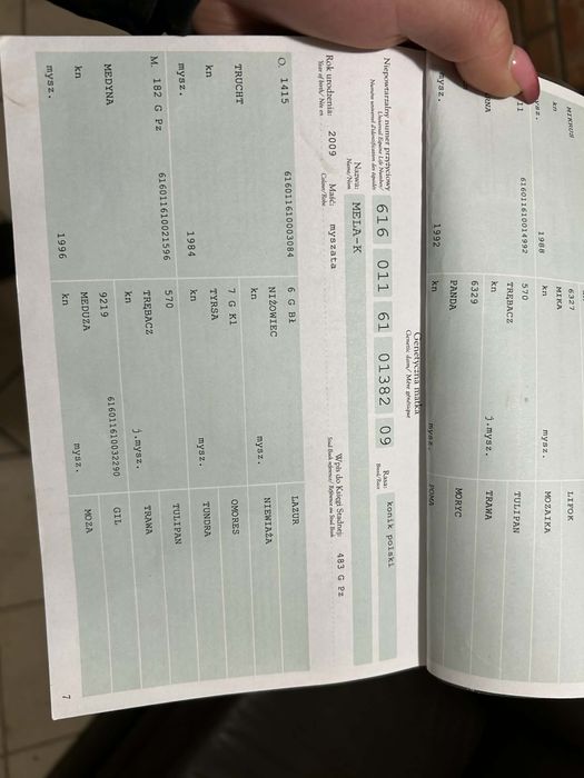 Klacz -maly sport/ rekreacja