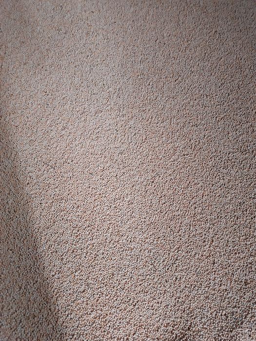 Продам зерно гороха