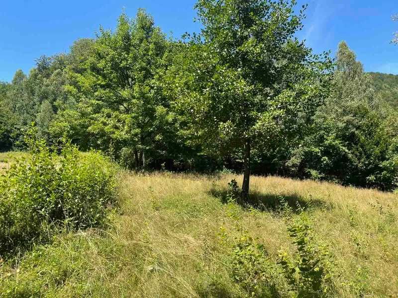 Земельна ділянка Закарпатська обл., Тячівський р., с. Красна	КН 2124483201:03:001:0005