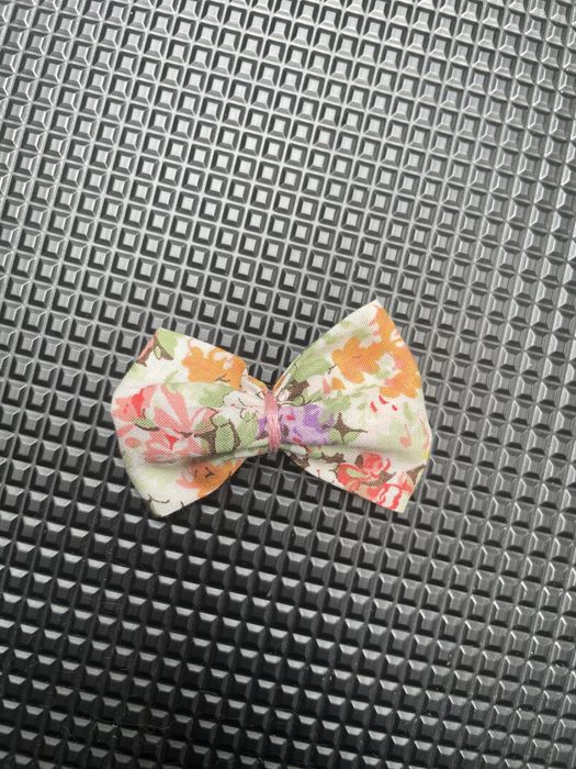 Laços para pelo de cão